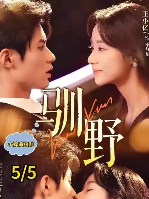 暗巷手记热播剧集海报